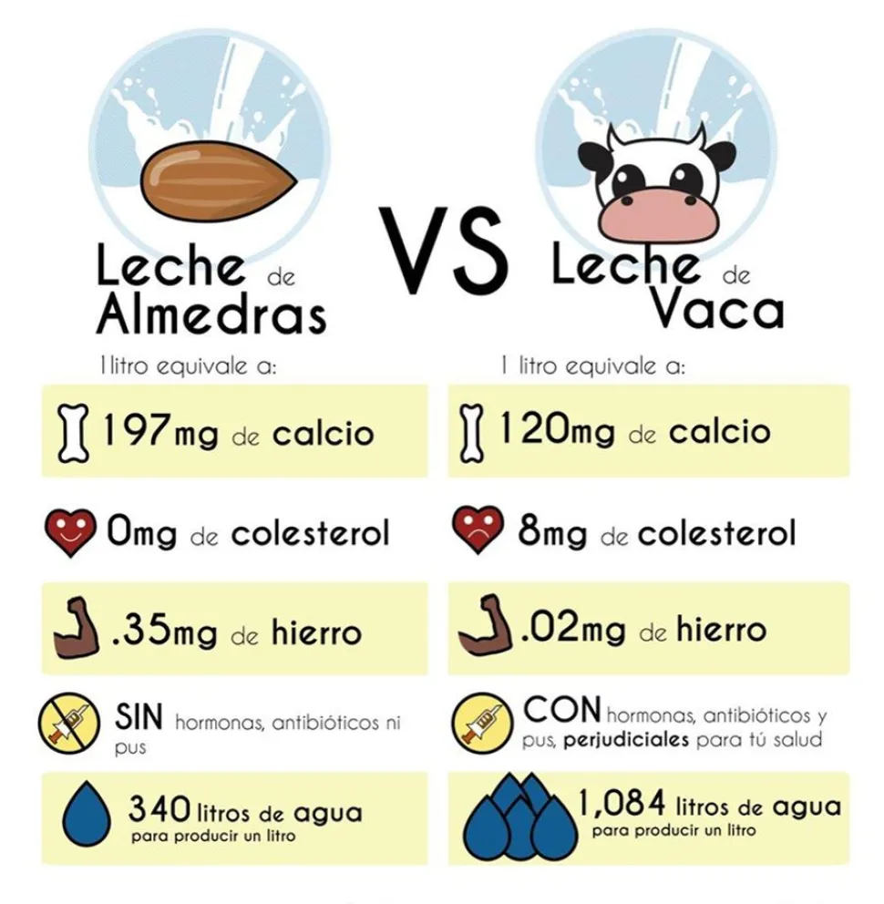 Leche de almendras vs leche de vaca, beneficios y contras