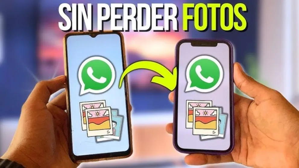 C&oacute;mo pasar WhatsApp de un celular a otro sin perder nada