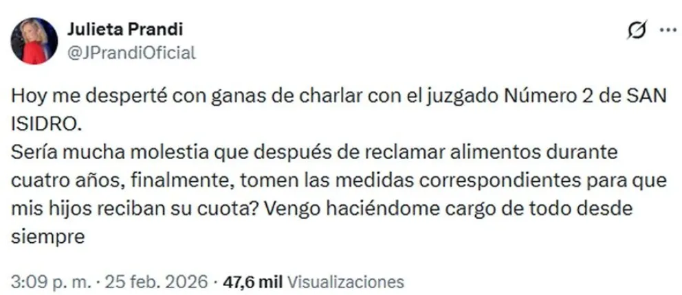 Julieta Prandi exige a la Justicia el pago de la cuota alimentaria de sus hijos