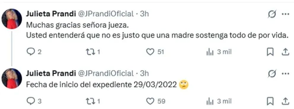 Julieta Prandi exige a la Justicia el pago de la cuota alimentaria de sus hijos
