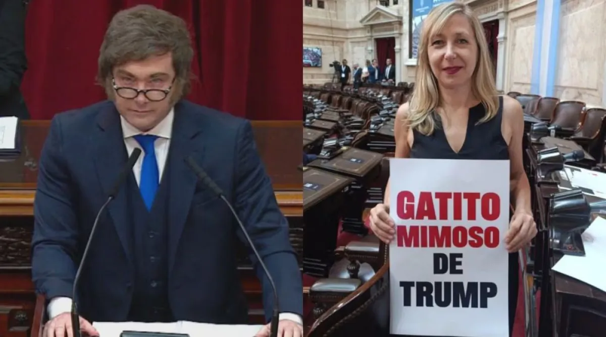 El fuerte cruce de Javier Milei con Myriam Bregman en el Congreso ...