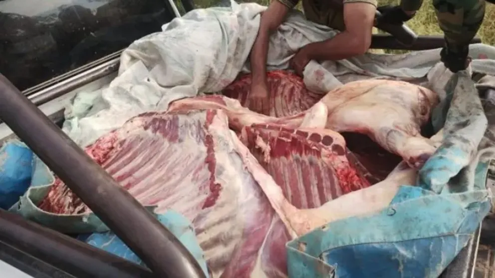 En operativo decomisan casi una tonelada de carne en mal estado