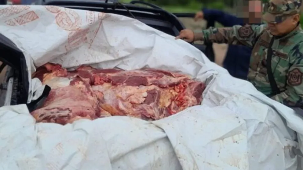 En operativo decomisan casi una tonelada de carne en mal estado