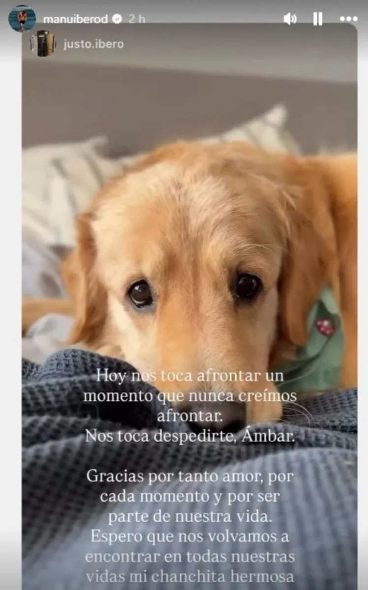 Gran Hermano le dio la triste noticia a Manuel Ibero
