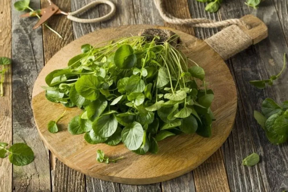 El alimento que pocos consumen y ayuda a bajar el az&uacute;car y aumenta las defensas