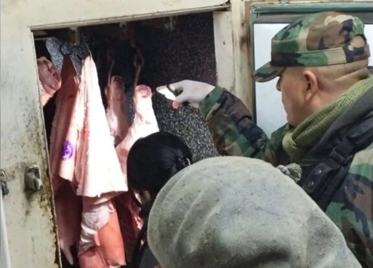 Secuestraron casi 60 kilos de pollo podrido en una carnicería de ...