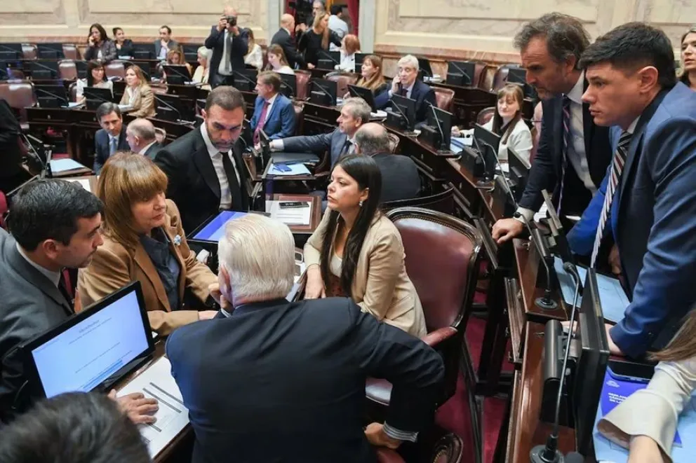 Javier Milei estudia nueva estrategia para la eliminaci&oacute;n de las PASO
