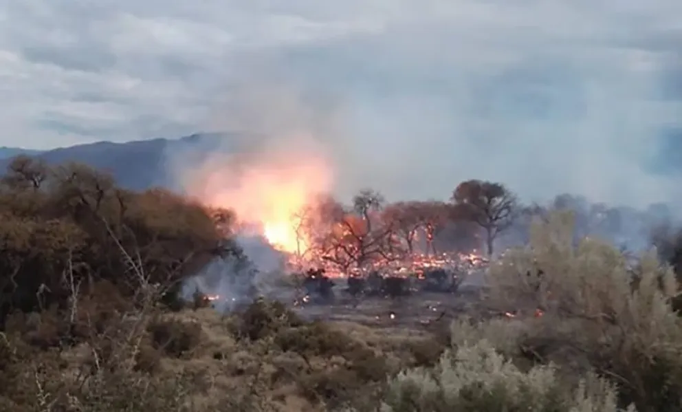 El incendio en Cafayate investigado por presunta acci&oacute;n intencional
